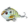 2014 Koppers Saltwater Baits