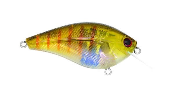 Livingston Lures Primetyme Square 2.0 - NEW COLORS!