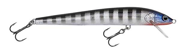 Bagley Minnow B - IN STOCK