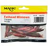 Preserved Fathead Minnows