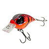 More Molix Now in Stock