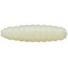Dappy Waxworm