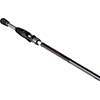 Intenza Casting Rods