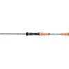 Intenza A Casting Rod 