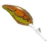 Norman - New Craw Series Paint Jobs