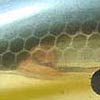 Norman Gold Sexy Shad Now Available