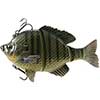 3D Bluegill