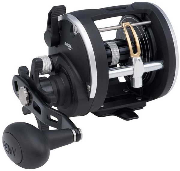 Penn Rival Level Wind Conventional Reel - NOW AVAILABLE