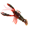 New River2Sea - Dahlberg Clackin’ Crayfish / Whopper Plopper
