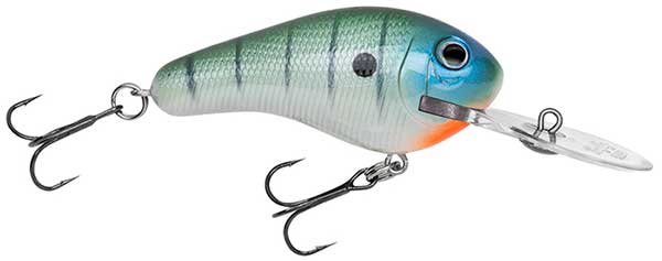 Bagley Rattlin' Diving Kill'r B - NOW IN STOCK