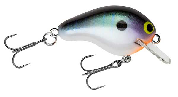 Bagley Rattlin' Honey B - FULL LINE OF COLORS