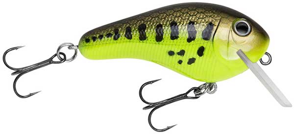 Bagley Rattlin' Kill'r B - NOW IN STOCK