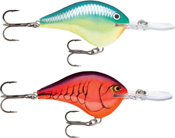 Rapala DT (Dives-To) Series - TOURNAMENT WINNING BAITS