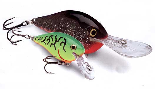 Weekly Special!!! 30% OFF Rapala DT (Dives-To) Series Crankbaits