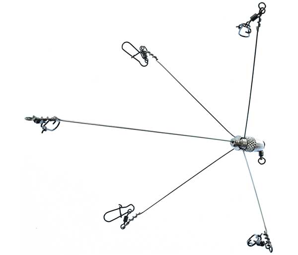 Shane's Baits Mini Finesse Rig - NOW STOCKING