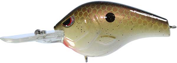 Spro Fat Papa Crankbait - MORE COLORS