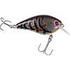 KVD Squarebill 1.5 Hard Knock Crankbait