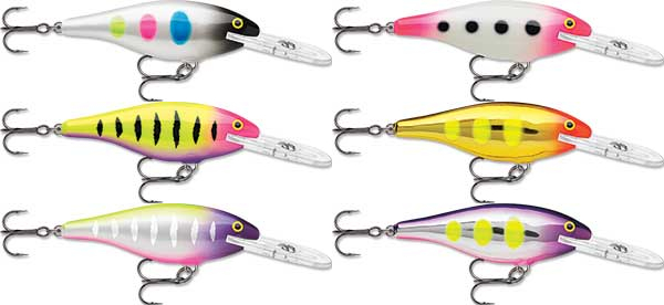 Rapala Shad Rap - NEW COLORS