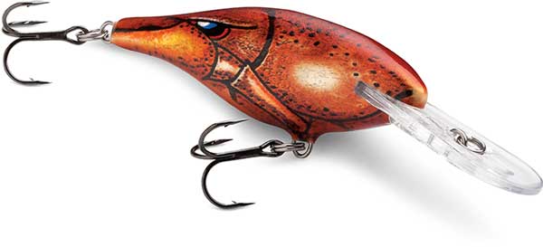 Rapala Shad Rap - NEW COLORS!