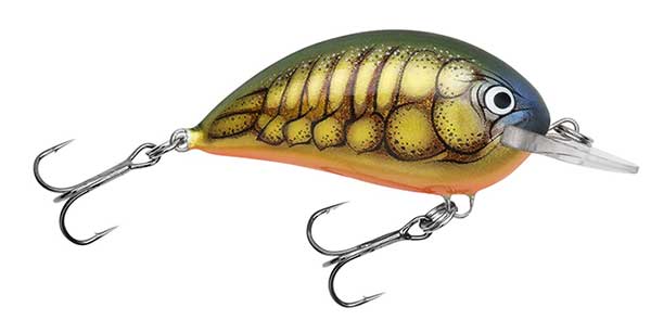 Bagley Shallow Sunny B - NOW IN STOCK