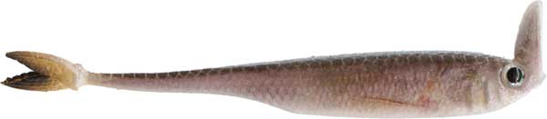 6th Sense Masterclass Strobe Shaker - NEW IN SOFT BAITS