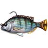 Pulsetail Pinfish