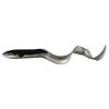 Now available .... Savage Gear 3D Real Eel