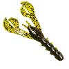 Rage Tail DB Craw