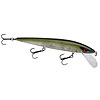 Smithwick Elite 8 Rogue Jerkbait
