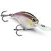 Storm Arashi Rattling Flat 7 Series Crankbait - Four New Colors for 2015