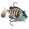 WildEye Live Bluegill