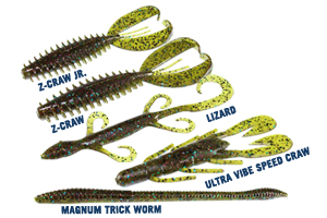 Zoom Bait - NEW COLORS