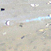 Zoom Color -  325 Blue Pearl/Silver Glitter 