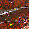 New Zoom Color - 326 Scuppernong Candy 