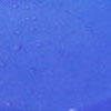 Killer Blue - New Zoom Color
