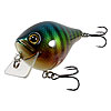 AR Lures Fishing Tackle - Now Available