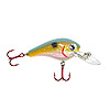 Bagley Suspending Kill'r B - Sunset Series
