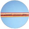 In Stock - e21 21 Carrot Gold Carrot Stix