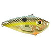 Classic Winner - Gold Sexy Shad - In Stock