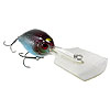 Luck 'E' Strike The Freak Crankbait - Now in Stock
