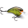 Rapala DT (Dives-to) Flat Series - New 2015 Colors