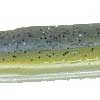 New Roboworm Colors