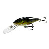 Salmo Lures Executor Crankbait - Now in Stock