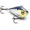 2013 Strom - Now available for Pre-Order