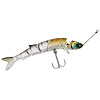 New 2013 Wake Fishing