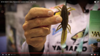 Gary Yamamoto Zako Swimbait Video