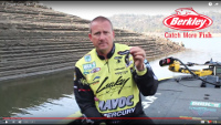 Berkley PowerBait Chigger Craw Video