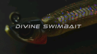 6th Sense Divine Swimbait Video