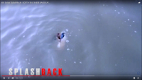 6th Sense SplashBack Topwater Popper Video