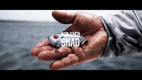 Strike King Saltwater Red Eyed Shad Video